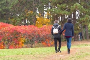 Tutustu Sofian puutarhojen ihmeisiin yksityisellä kierroksella