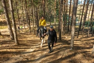 Au départ de Bansko : Expérience d'équitation