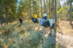 De Bansko: Experiência de Equitação