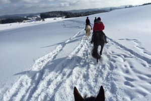 From Bansko: Horse Riding Experience