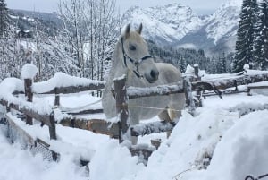 From Bansko: Horse Riding Experience