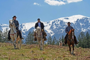 From Bansko: Horse Riding Experience