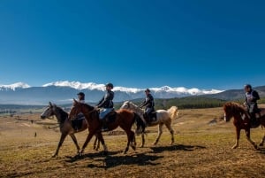 From Bansko: Horse Riding Experience