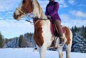 Desde Borovets: Experiencia de montar a caballo