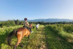 De Borovets: Experiência de equitação