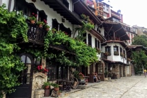 De Bucareste: Visita guiada particular a Veliko Tarnovo
