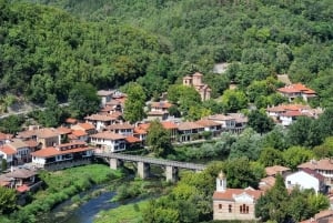 Da Bucarest: Tour guidato privato a Veliko Tarnovo