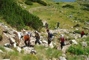 Da Plovdiv: tour di trekking di un'intera giornata al picco di Musala