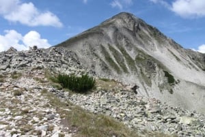 Z Płowdiw: całodniowa wycieczka trekkingowa Musala Peak