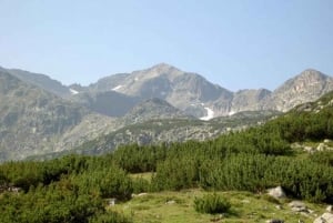Z Płowdiw: całodniowa wycieczka trekkingowa Musala Peak