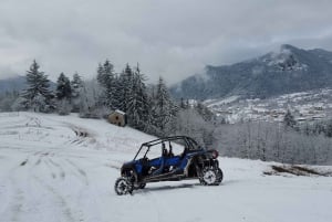 From Smolyan: Private Buggy Ride in Pamporovo Ski Resort