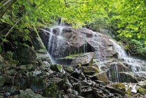 Sofiasta: Alekovin vesiputous ja Dragalevskin luostari -kierros