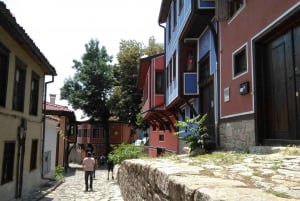 Desde Sofía: Excursión de un día al casco antiguo de Plovdiv