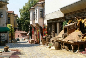 From Sofia: Full-Day Tour of Plovdiv with Lunch