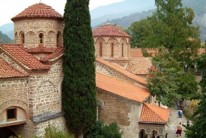 From Sofia: Full-Day Tour to Plovdiv and Bachkovo Monastery