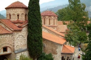 From Sofia: Full-Day Tour to Plovdiv and Bachkovo Monastery