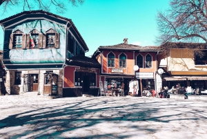 From Sofia: Koprivshtitsa and Panagyurishte Tour