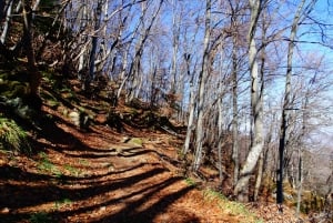 From Sofia: One-Day Tour of Vitosha Mountain