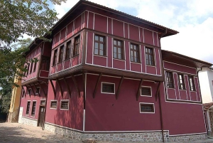 Von Sofia: Ganztagestour nach Plovdiv