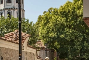 Von Sofia: Ganztagestour nach Plovdiv