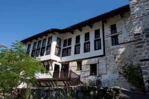 From Sofia: Private Melnik Wine Tour