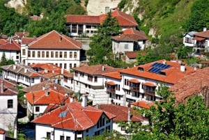 From Sofia: Private Melnik Wine Tour