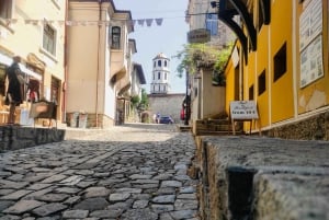 From Sofia: Rila Monastery and Plovdiv Town Full-Day Trip