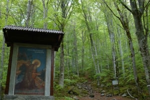 Från Sofia: Rila-klostret och S:t Ivans grotta Dagsutflykt
