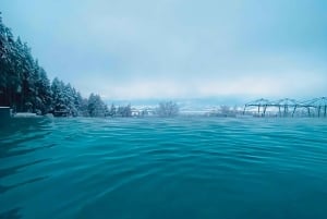 Från Sofia: Vinterdagsutflykt till Rila-berget för skidåkning och spa