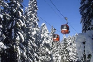 Från Sofia: Vinterdagsutflykt till Rila-berget för skidåkning och spa