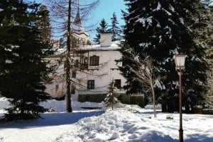 Från Sofia: Vinterdagsutflykt till Rila-berget för skidåkning och spa