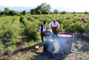 Desde Sofía: Excursión de un día a la Fiesta de la Rosa