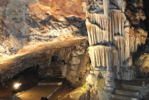 From Sofia: Saeva Dupka and Ledenika Caves Tour