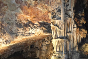 From Sofia: Saeva Dupka and Ledenika Caves Tour
