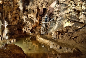 From Sofia: Saeva Dupka and Ledenika Caves Tour