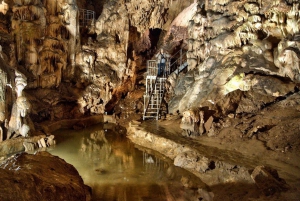 From Sofia: Saeva Dupka and Ledenika Caves Tour