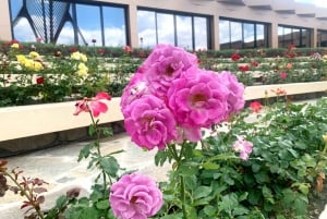 Da Sofia: tour di un giorno alla Valle delle Rose e al Monumento di Buzludzha