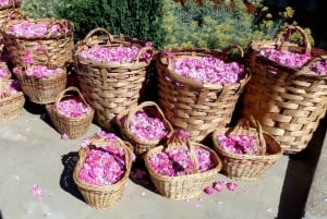 Da Sofia: tour di un giorno alla Valle delle Rose e al Monumento di Buzludzha