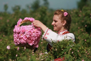 From Sofia: The Valley of the Roses Day Trip