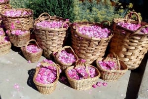 From Sofia: The Rose Valley & Koprivshtitsa 12 hrs Day Tour