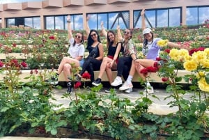 From Sofia: The Rose Valley & Koprivshtitsa 12 hrs Day Tour