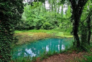 From Sofia: Zlatna Panega River Hike with Springs Visit
