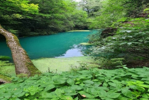 From Sofia: Zlatna Panega River Hike with Springs Visit