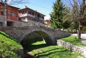 Privat heldags-økotur i Koprivshtitsa og Plovdiv
