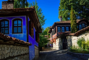 Sofia: Paragliding Adventure with visit of Koprivshtitsa