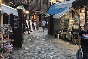 Desde Obzor: Tour turístico privado de día completo a Nessebar