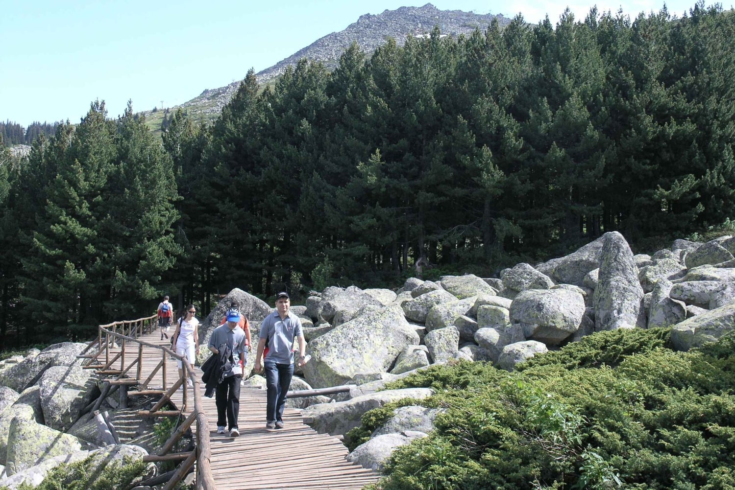 ヴィトシャ山とチェルニ・ヴルー山の終日ハイキングツアー