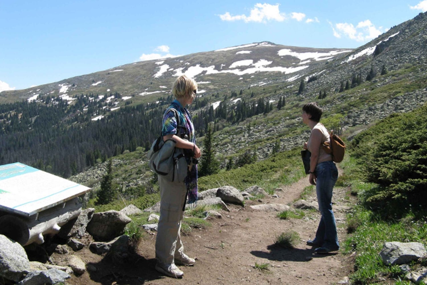 ヴィトシャ山とチェルニ・ヴルー山の終日ハイキングツアー