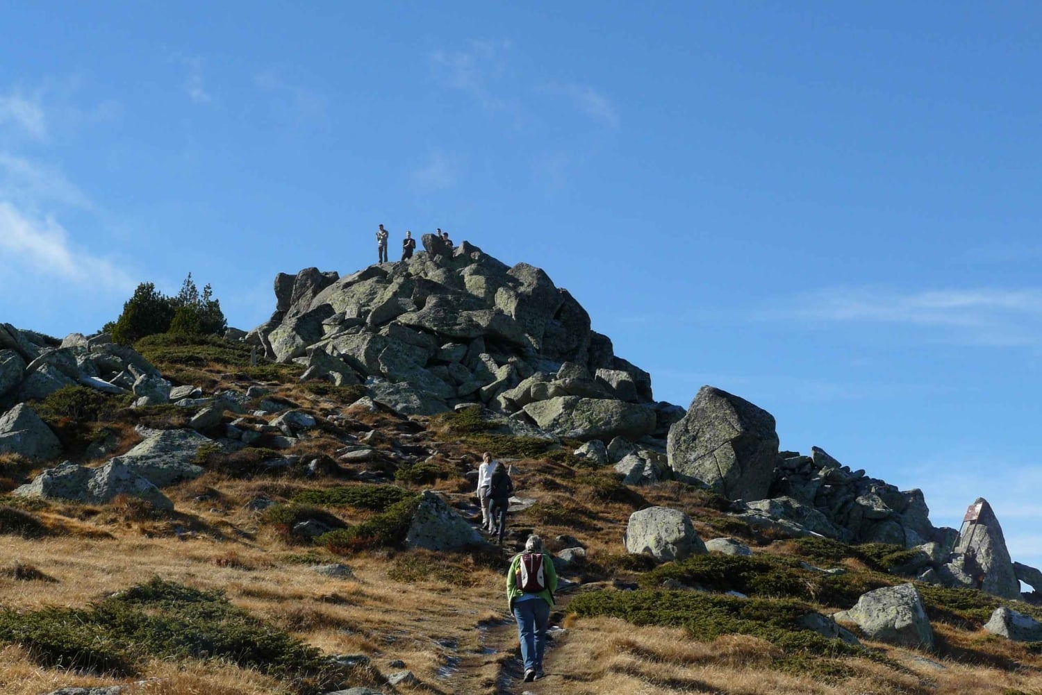 ヴィトシャ山とチェルニ・ヴルー山の終日ハイキングツアー