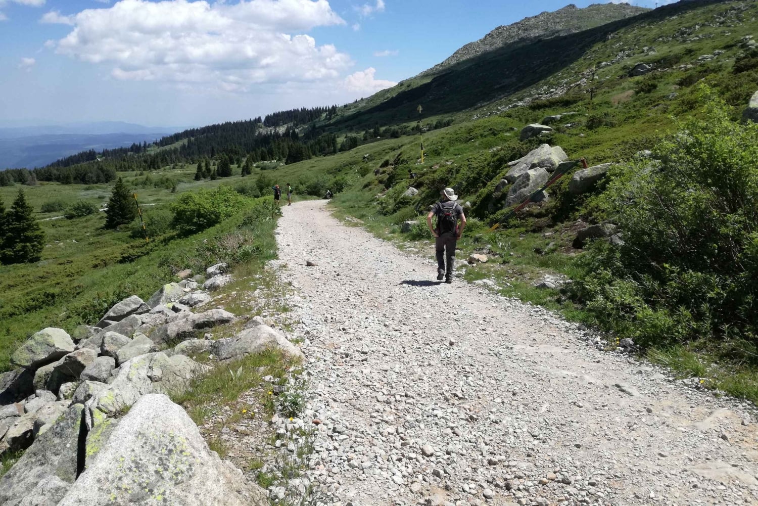 ヴィトシャ山とチェルニ・ヴルー山の終日ハイキングツアー